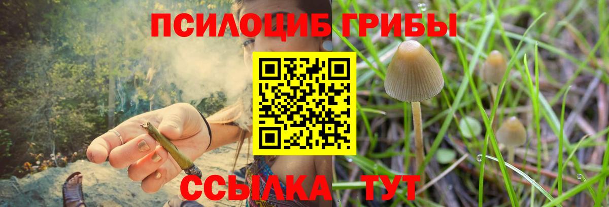 Воскресенск  Псилоцибиновые грибы Cubensis  Вход с VPN 
